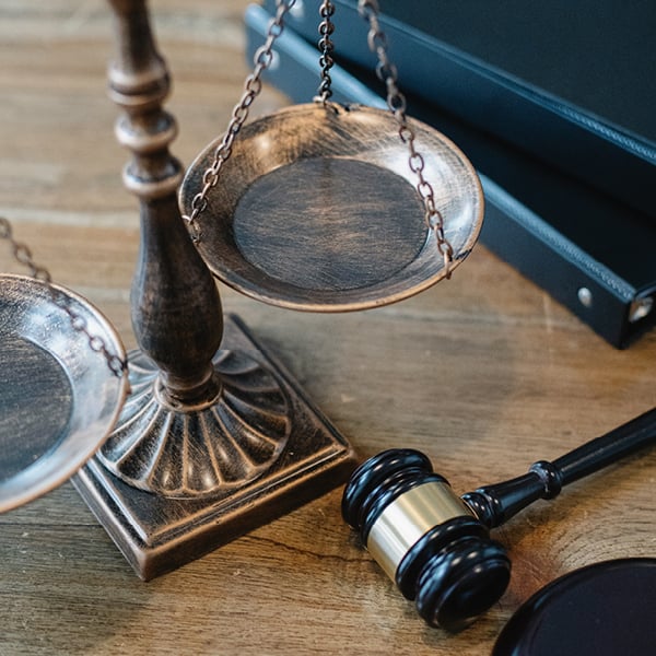 Constitutional Litigation 1