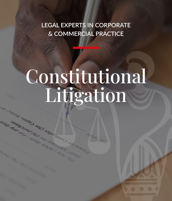 Constitutional Litigation