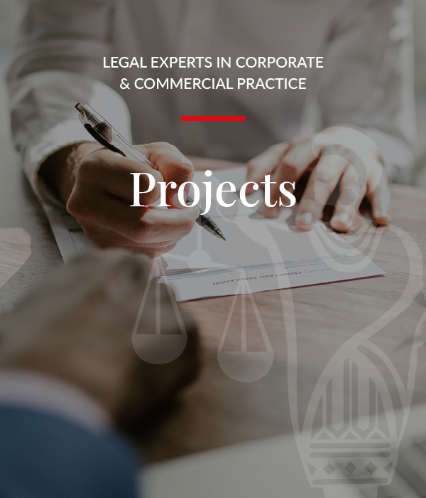 Maluleke Msimang Attorneys - Projects